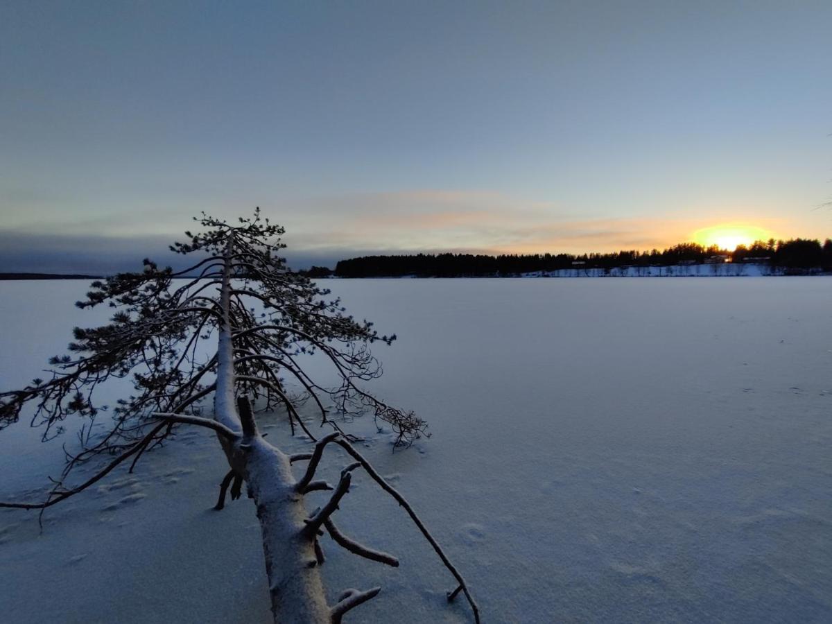 Villa Sirius Sieri, Nice Log-Cottage By The Lake Rovaniemi Exteriör bild