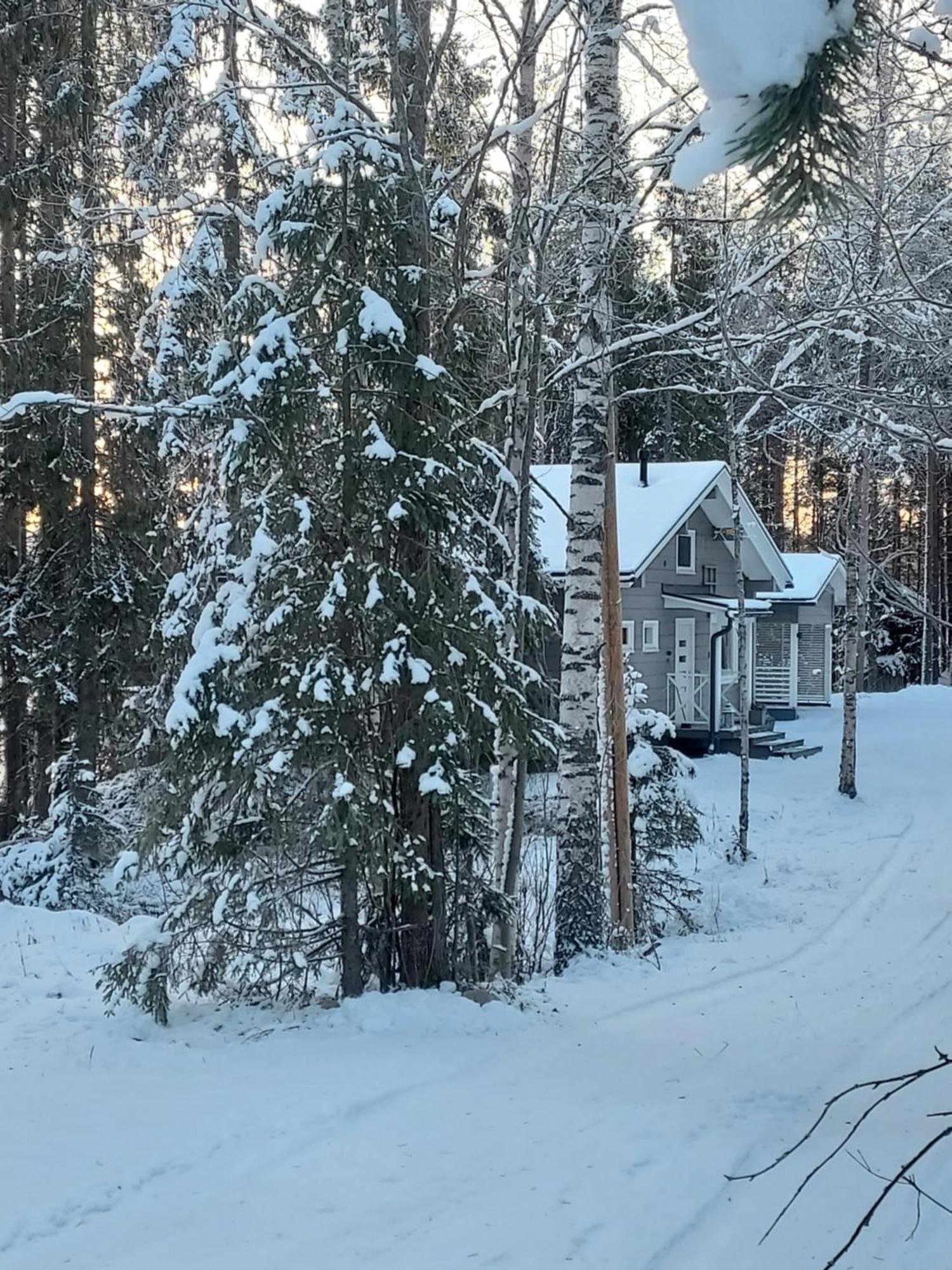 Villa Sirius Sieri, Nice Log-Cottage By The Lake Rovaniemi Exteriör bild